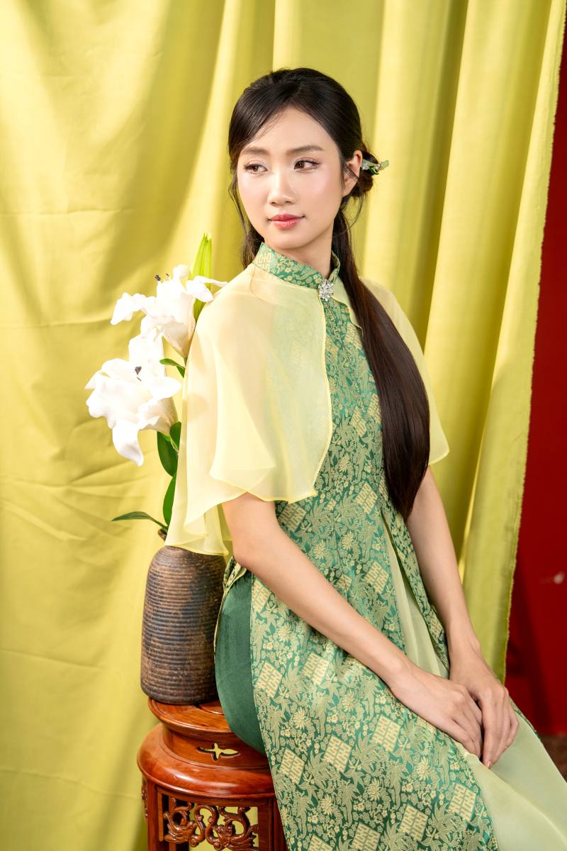 ÁO DÀI VOAN ĐÍNH ĐÁ - Ảnh 13